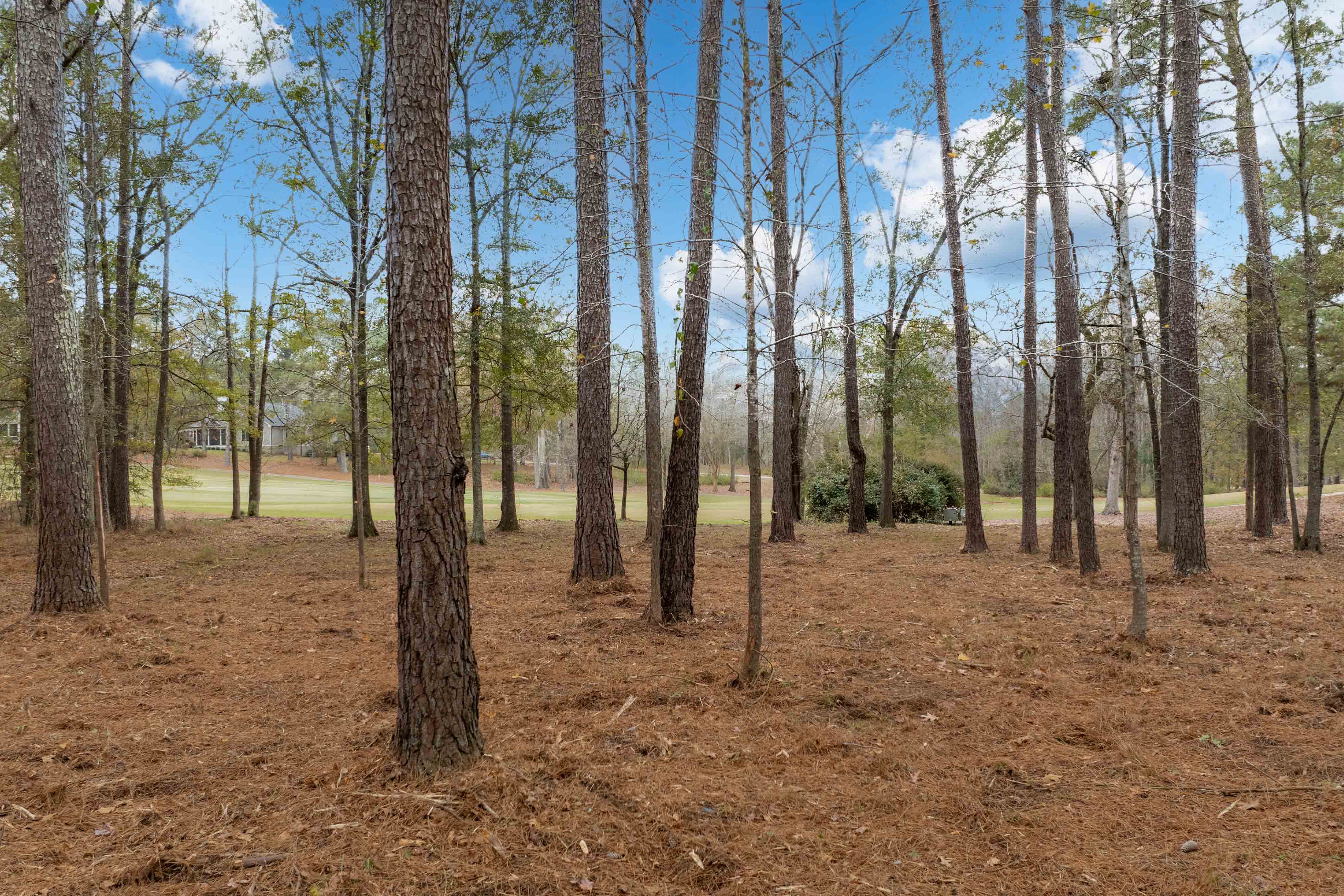 164 Hopeton Lane image 6